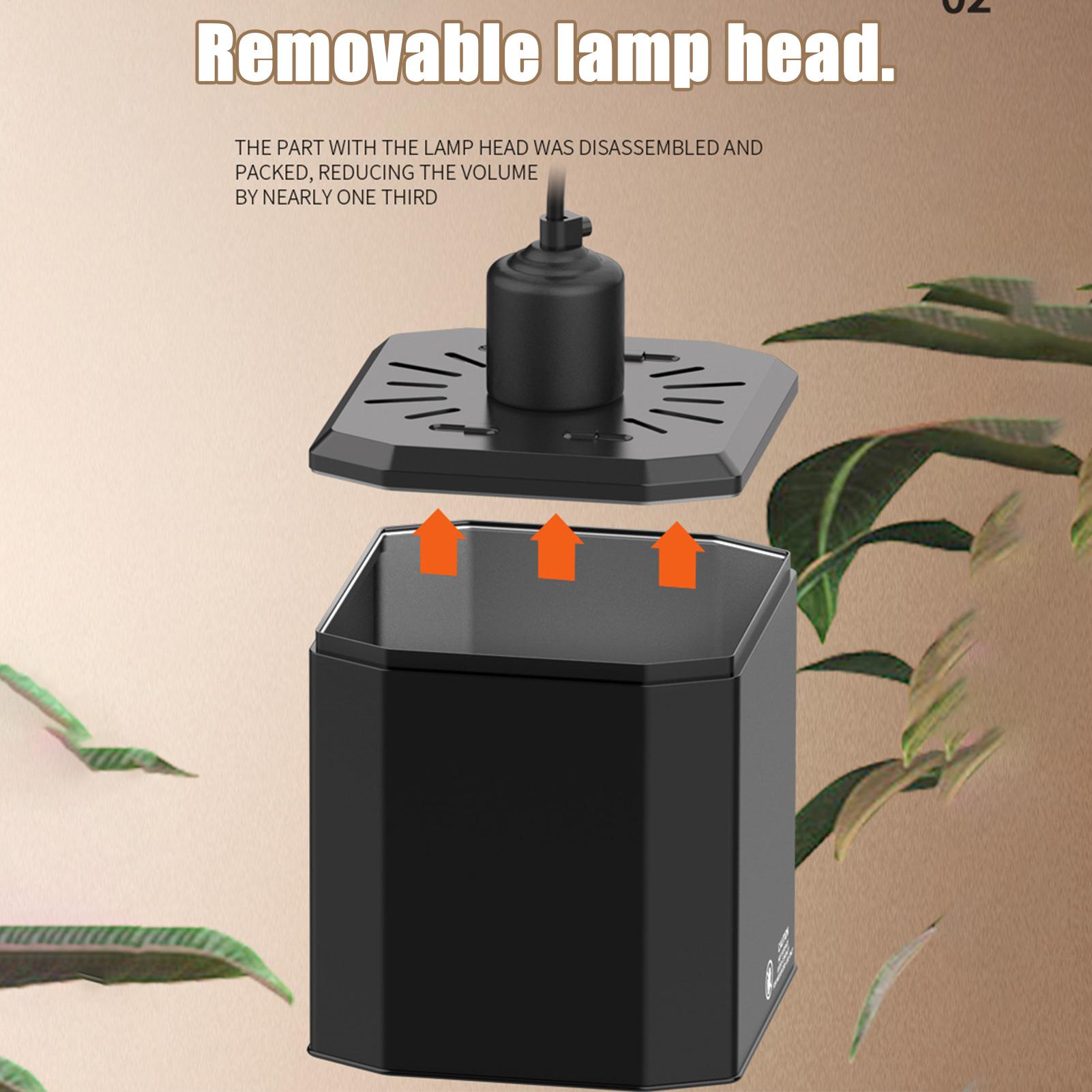 Copertura della lampada di cal - Gecko Lighting & Decor recensione e prezzo